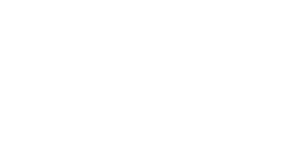 11 (6)