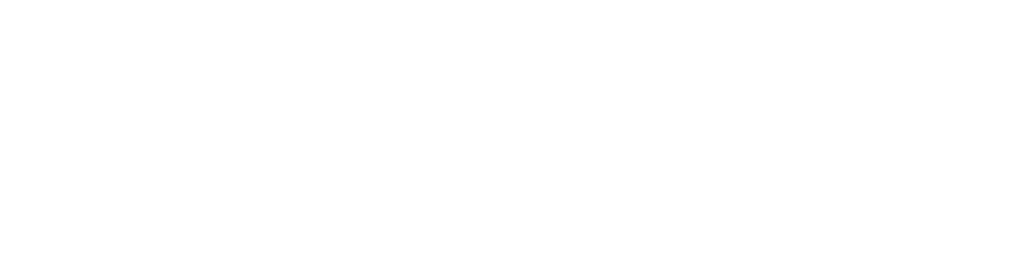 4 (20)