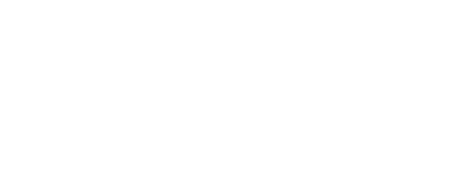 8 (8)